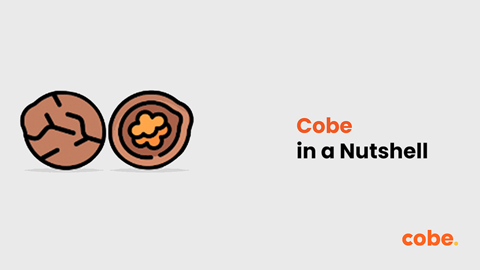 Cobe in a nutshell